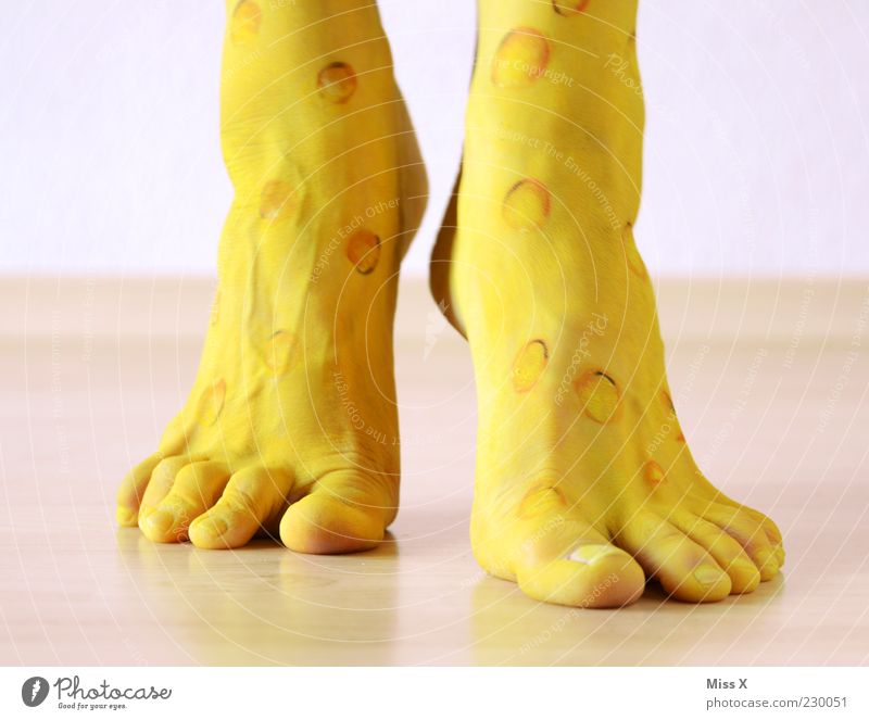 cheese foot Cheese Feet 1 Human being Fragrance Funny Yellow Hollow Toes Malodorous Smelly Colour photo Multicoloured Interior shot Close-up Pattern Painted