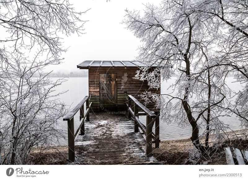 lair Fishing (Angle) Hunting Nature Landscape Winter Ice Frost Tree Lake Hut Cold Protection Calm Footbridge Wood Wooden house Colour photo Subdued colour