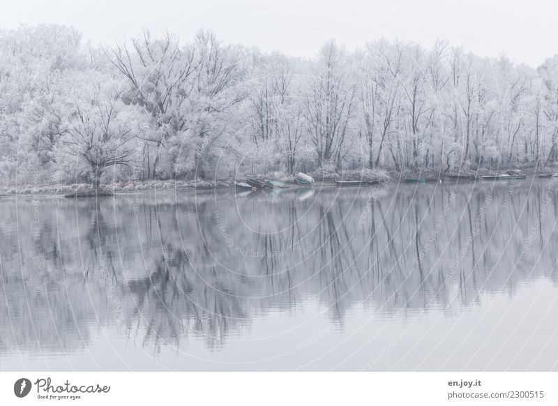 icy silence Winter Environment Nature Landscape Plant Forest Lakeside Rowboat Cold White Sadness Grief Death Bizarre Loneliness Idyll Climate Religion and faith