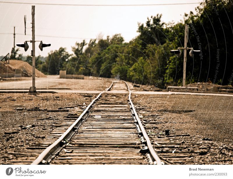 Tracks Nature Landscape "Amarillo Texas" Outskirts Railroad Railroad tracks Brown Green Colour photo Exterior shot Central perspective