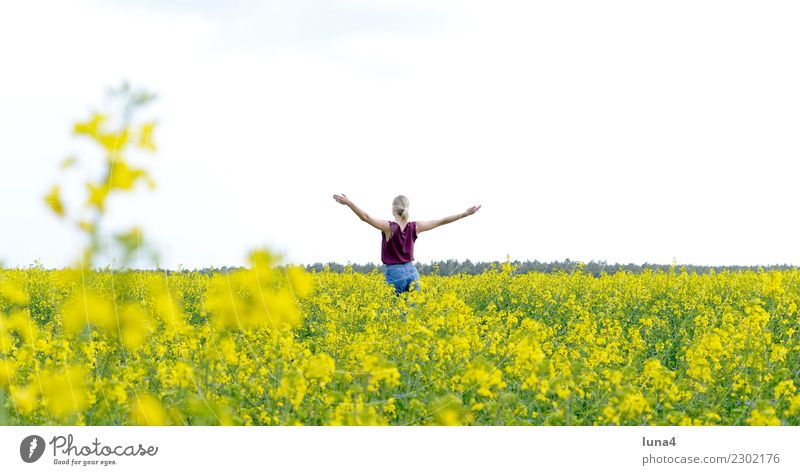 freedom Joy Happy Beautiful Contentment Relaxation Freedom Summer Success Young woman Youth (Young adults) Woman Adults Nature Spring Field Blonde To enjoy