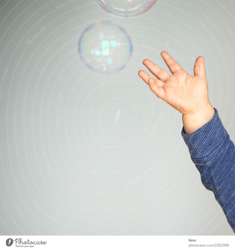 peppy l bubble catcher Joy Happy Toddler Boy (child) Infancy Life Arm 1 Human being 1 - 3 years Movement Catch Flying Willpower Curiosity Interest Beginning
