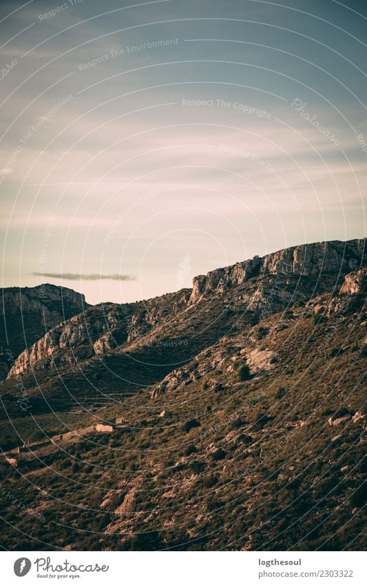 Sunset in a Mountain Environment Nature Landscape Plant Sky Clouds Sunrise Winter Climate Lightning Tree Flower Grass Bushes Meadow Forest Rock Emotions Moody