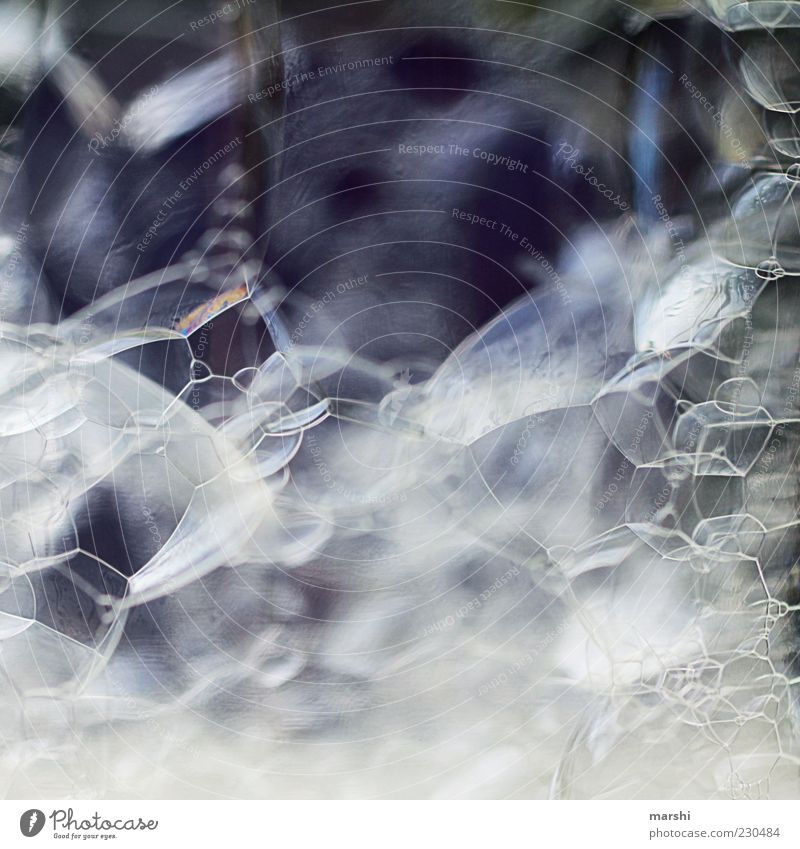 blubber White Soap bubble Bubble Abstract Structures and shapes Colour photo Detail Macro (Extreme close-up) Deserted Air Glittering Glimmer Transience