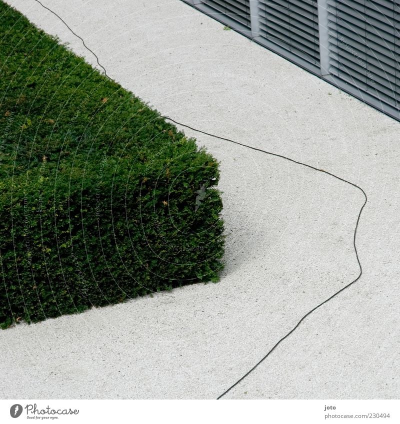 cord Garden Park Deserted Architecture Wall (barrier) Wall (building) Terrace Accuracy Cable Bushes Hedge Design Puristic Line String Meandering Lanes & trails