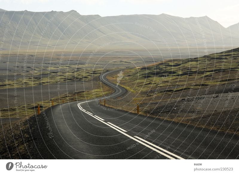 expectation Environment Nature Landscape Fog Mountain Canyon Transport Street Lanes & trails Loneliness Uniqueness Freedom Target Iceland Asphalt Curve