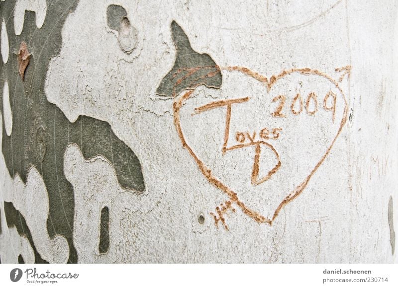 T loves D Happy Wood Sign Heart Emotions Joie de vivre (Vitality) Sympathy Friendship Together Love Infatuation Relationship Subdued colour Tree bark Carving