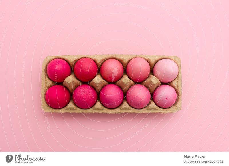 Easter eggs nicely colored Food Egg Style Design Eating Feasts & Celebrations Lie Esthetic Exceptional Fresh Hip & trendy Round Beautiful Pink Hospitality