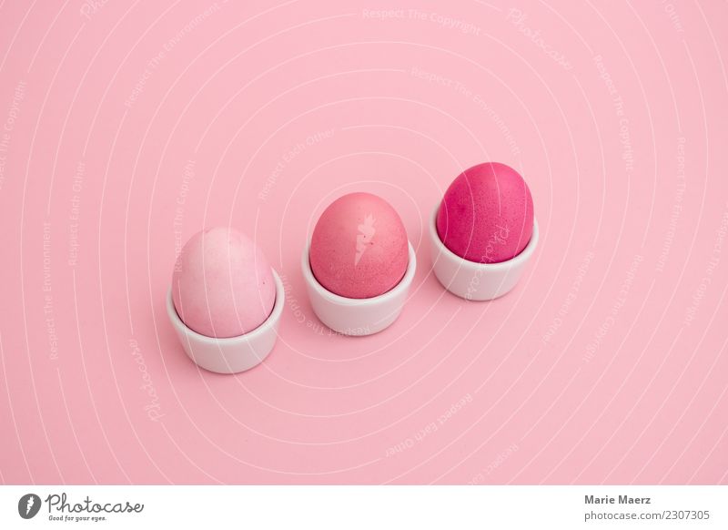 3 pink coloured eggs in a row in an egg cup Food Egg Nutrition Breakfast Style Design Easter Eating Looking Esthetic Exceptional Cool (slang) Happiness Fresh