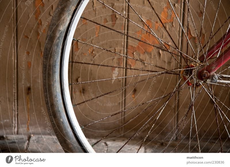 Diamond from front part II Bicycle Old Brown Red Transience Colour photo Tire Spokes Rust Detail Section of image Bicycle tyre bicycle spokes