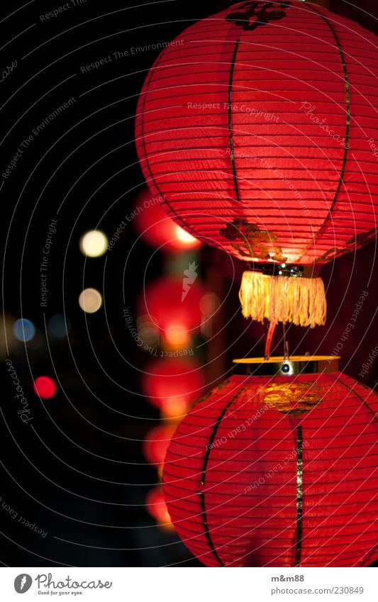 Red Lantern China Asia Decoration Lampion Illuminate Bright Gold Moody Esthetic Vacation & Travel Colour photo Exterior shot Deserted Copy Space left