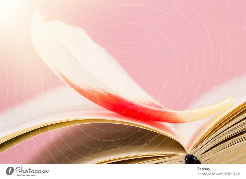 education and reading concept - open book with flower leafs Reading Table Science & Research School Study Academic studies Business Group Book Library Flower