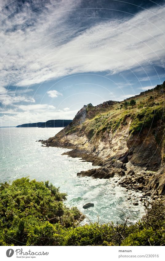 cliffs Nature Landscape Elements Water Sky Beautiful weather Bushes Rock Coast Bay Ocean Brittany Cliff Authentic Wanderlust Vacation & Travel Colour photo