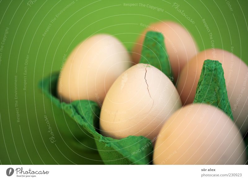 egg broken Food Nutrition Organic produce Egg Eggs cardboard Eggshell Round Green Oval 5 Sheath Protection Hard organic egg Fresh Sensitive Fragile Cholesterol