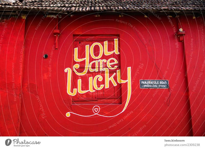 you are lucky Design Wall (barrier) Wall (building) Stone Sign Characters Graffiti Dream Happy Happiness Contentment Joie de vivre (Vitality) Power Text