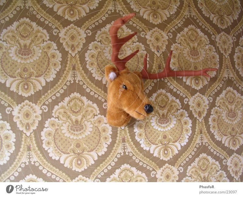 koos House (Residential Structure) reindeer wallpapers interior pluche Wall (barrier)
