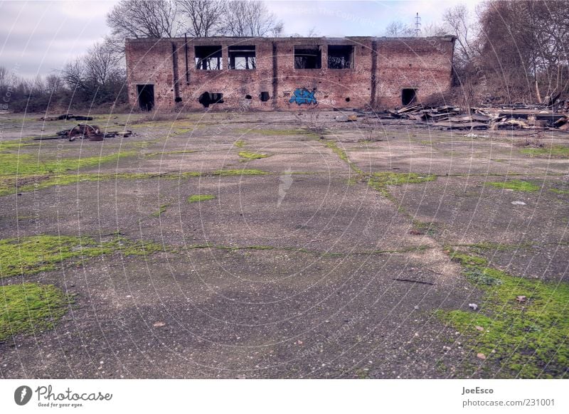 location user meeting ffm Sky Plant Moss House (Residential Structure) Ruin Manmade structures Building Broken Derelict Decline Building for demolition