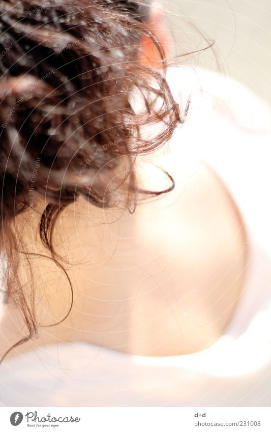 § Feminine Skin Hair and hairstyles Pinned up hairstyle Curl Black-haired Dark brown Curly Sunlight Strand of hair highlights Nape Day 1 Young woman Rear view