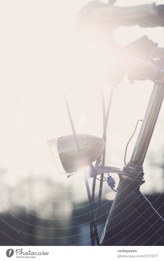 sun wheel Means of transport Bicycle Driving Colour photo Exterior shot Close-up Detail Copy Space left Copy Space top Day Light Silhouette Reflection Sunlight