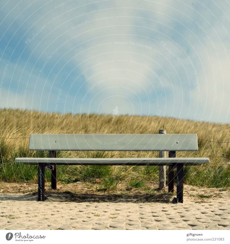 sunbed Environment Nature Sky Clouds Summer Beautiful weather Plant Grass Meadow Hill Relaxation Calm Bench Seating Wooden bench Park bench Dune Marram grass