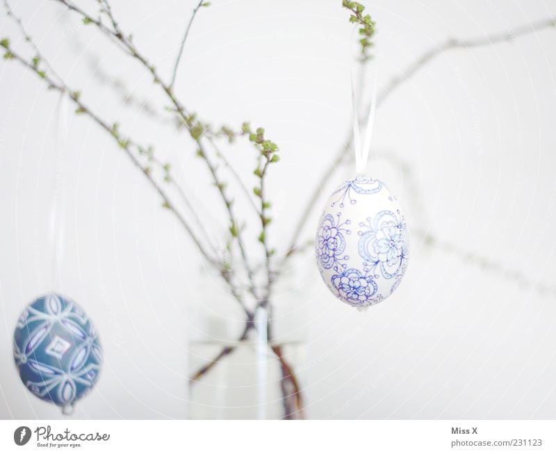 Easter Bushes Hang Easter egg Delicate Light blue Egg Painted Decoration Branch Twigs and branches Vase Bud Spring Spring celebration Colour photo Interior shot