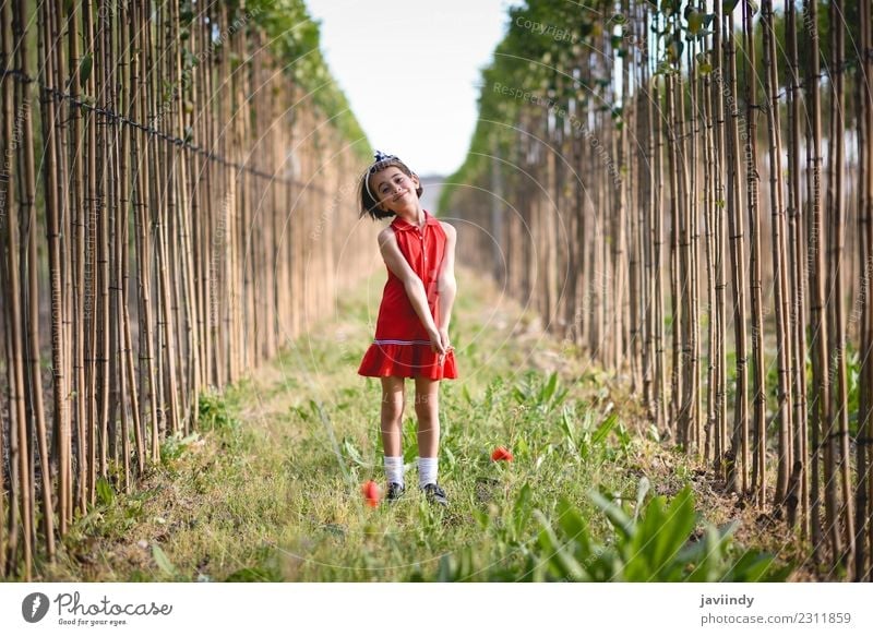 Little girl in nature field wearing beautiful dress Lifestyle Joy Happy Summer Child Human being Baby Girl Woman Adults Infancy 1 3 - 8 years Nature Flower