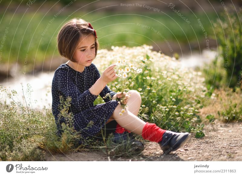 Little girl sitting in nature with flowers in her hand. Lifestyle Joy Happy Beautiful Playing Summer Child Human being Girl Woman Adults Youth (Young adults) 1