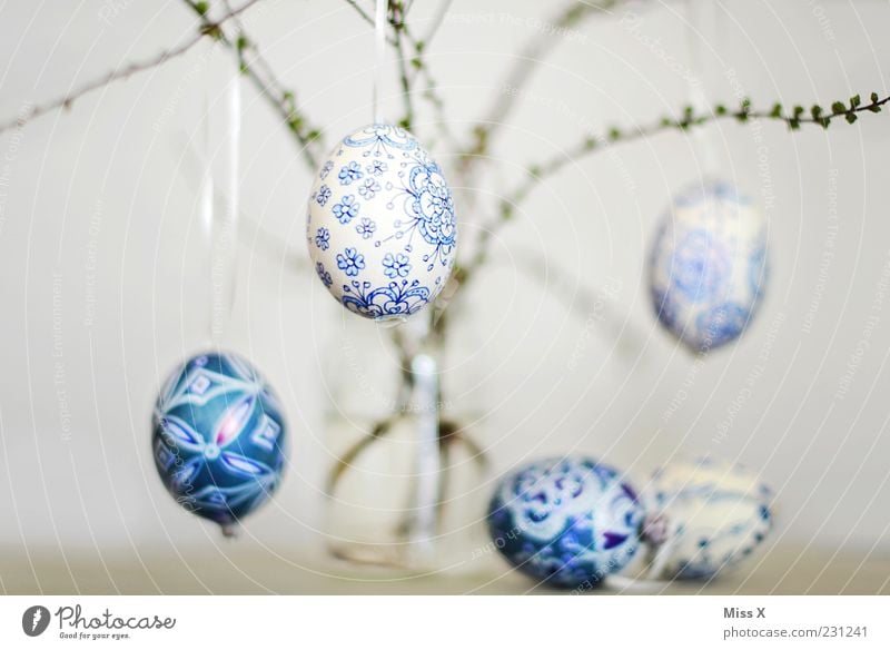 Easter eggs Hang Painted Delicate Fragile Blue-white White Pattern Bushes Twigs and branches Branch Vase Glass Decoration Spring Egg Eggshell Colour photo