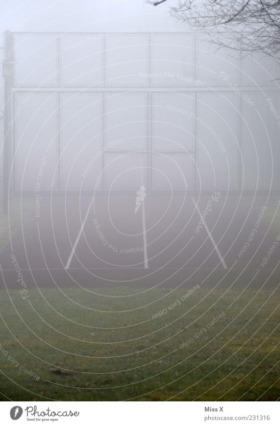 Sport in the fog Sporting Complex Racecourse Fog Cold Gray Gate Sporting grounds Colour photo Exterior shot Deserted Copy Space bottom Morning Dawn Line