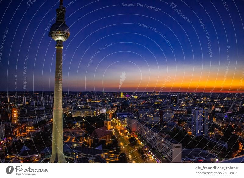 Television tower at dusk Tourism Sightseeing City trip Summer Night life Cloudless sky Horizon Sunrise Sunset Beautiful weather Town Downtown Berlin Germany