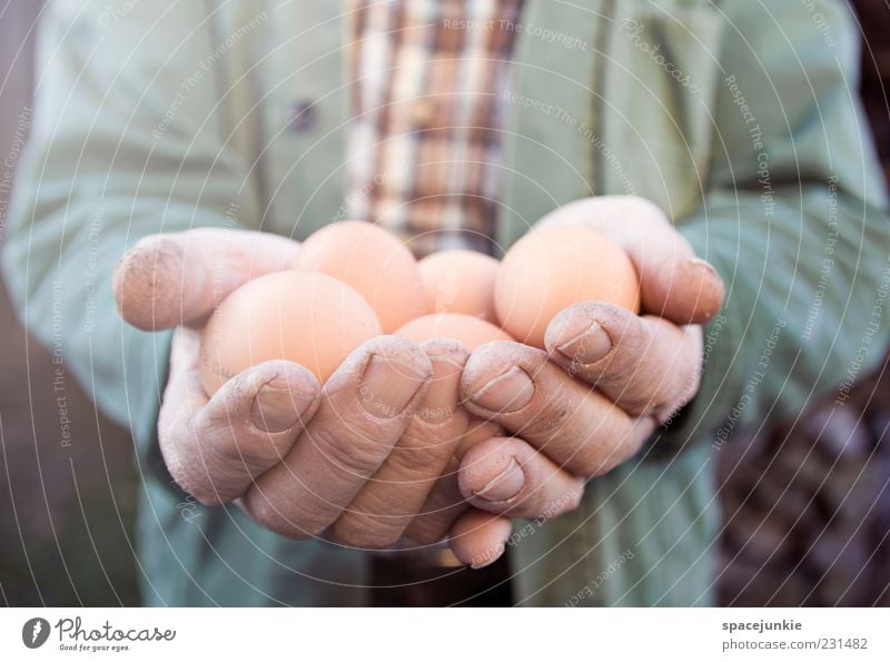 Easter eggs Masculine Man Adults Male senior 60 years and older Senior citizen Work and employment To hold on Brown Yellow Patient Calm Appetite Egg Stop Hand