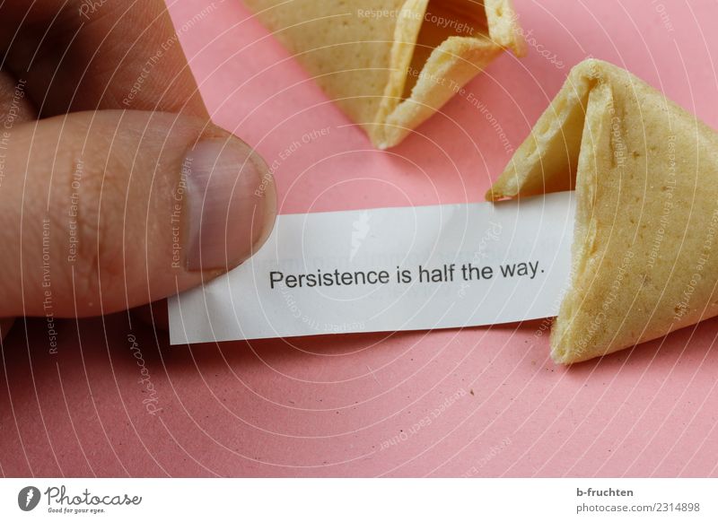 Persistence is half the way Candy Man Adults Fingers To hold on Reading Pink Happy Curiosity Expectation Belief Religion and faith Endurance Wisdom