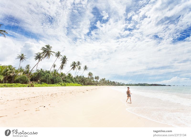 Balapitiya, Sri Lanka - Woman at the beach of Balapitiya Asia Beach Beautiful Cute Dreamily Heavenly Idyll Illuminate Landscape Nature Ocean Palm tree Peaceful