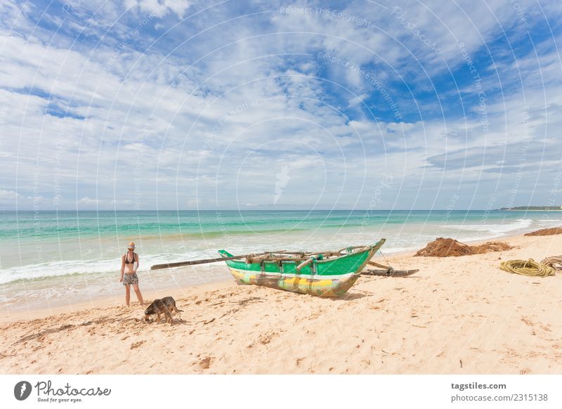 A woman and a dog at the beach of Balapitiya Asia Beach Beautiful Canoe Canoeing Coast Dog Woman Fishing (Angle) Fishery Fishing net Fisherman Hound Landscape