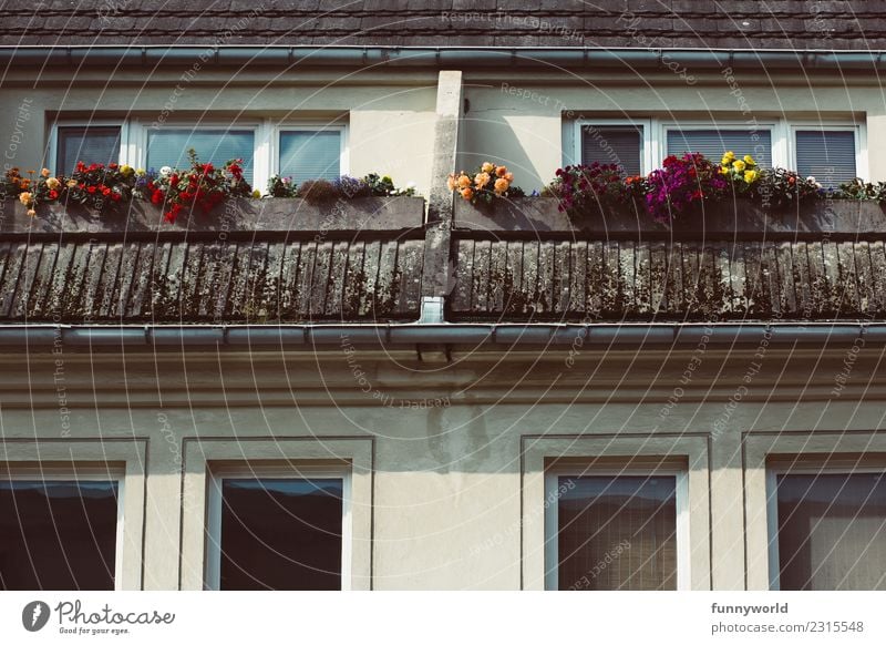 Balcony with flowers in the attic Small Town House (Residential Structure) Roof Eaves Living or residing Above Cliche Loneliness SME Symmetry Flower