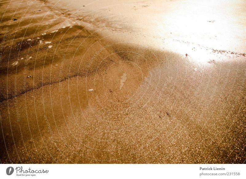 Looking For Freedom Environment Nature Elements Earth Sand Water Sunlight Summer Coast Beach Ocean Moody Happiness Contentment Gold Australia Dazzle Bright