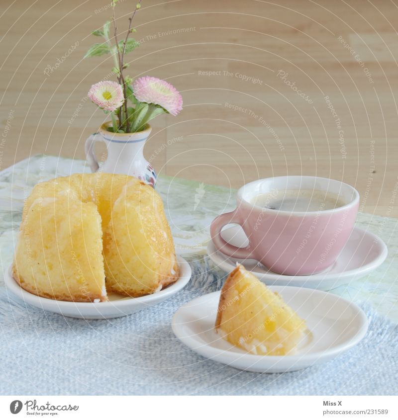 Sunday table Food Cake Nutrition To have a coffee Hot drink Coffee Crockery Plate Cup Flower Small Delicious Sweet Miniature Coffee cup Gugelhupf Flower vase
