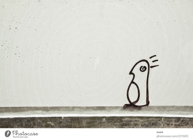 Who am I ... Art Wall (barrier) Wall (building) Facade Animal Bird Penguin 1 Authentic Simple Uniqueness Funny Gloomy Gray White Graffiti Comic Drawing Daub