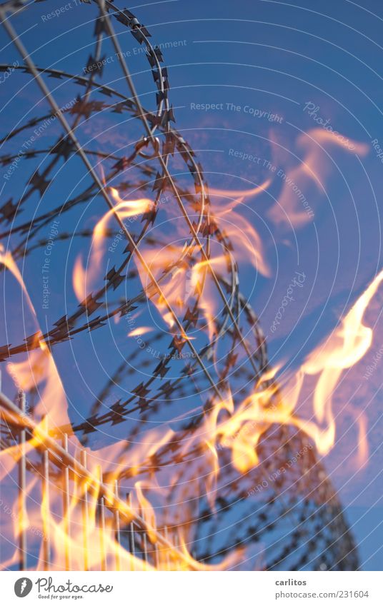 The hot wire Elements Fire Sky Beautiful weather Warmth Hot Fence Barbed wire Dangerous Barrier Threat Safety Captured Exclude Penitentiary Storage Burn Blur