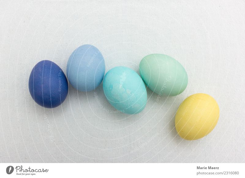 Easter eggs group in pastel colours Food Egg Eating Fresh Blue Multicoloured Yellow Green Together Colour Dyeing Pastel tone Play of colours Colour photo