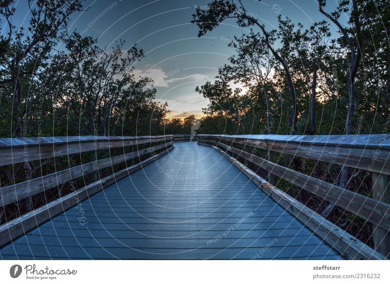 Boardwalk through the swamp, leading to Clam Pass at sunset Vacation & Travel Trip Nature Landscape Sky Plant Coast Lakeside River bank Tourist Attraction