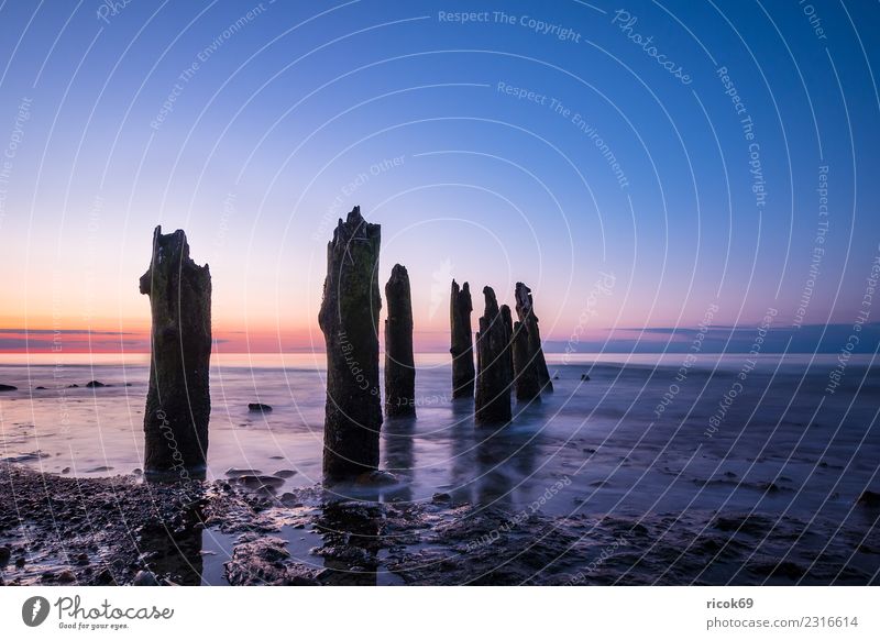 Groynes on the coast of the Baltic Sea near Kühlungsborn Relaxation Vacation & Travel Tourism Beach Ocean Waves Nature Landscape Water Clouds Coast Wood Romance