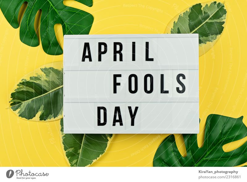 April Fool's day and tropical leaves on yellow Joy Happy Entertainment Feasts & Celebrations Leaf Laughter Funny Yellow Green Moody Absurdity Joke