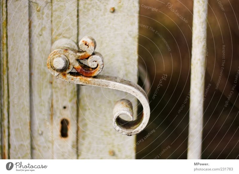 S Gate Door Metal Lock Old White Keyhole Door handle Rust Iron Undo Gray Rod Curved Closed Door opener Colour photo Exterior shot Close-up Detail Deserted Day
