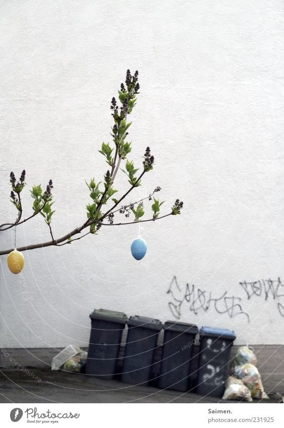 cityeaster impression House (Residential Structure) Wall (barrier) Wall (building) Facade Easter Tree Egg Easter egg Trash Trash container Backyard Graffiti