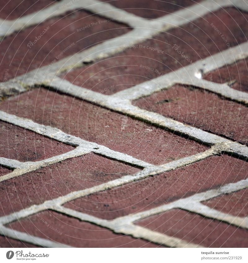Zigzag Tile Palster Lanes & trails Paving stone Brick Brick red Brown Red Design Arrangement serrated Abstract Pattern Structures and shapes Blur