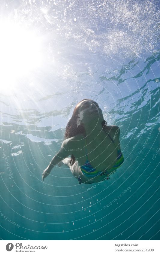 silence Mauritius Dive Woman Sun Sunbeam Refrigeration Wet Smooth Shallow Soft Beautiful Graceful Elegant Surface of water Underwater photo Turquoise Blue