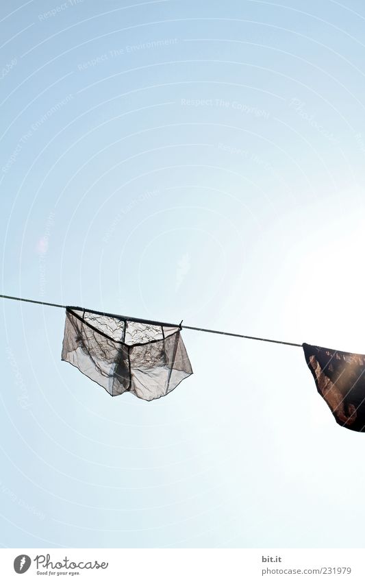 for review Sky Cloudless sky Sunlight Beautiful weather Clothing Underwear hang Wet Clean Blue Gray Black Desire Lust Laundry Clothesline Washing day Underpants