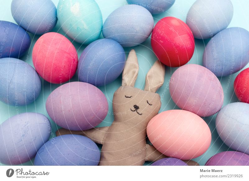 Tired Easter bunny with many colorful eggs Egg Joy Hare & Rabbit & Bunny Work and employment Eating Feasts & Celebrations Sleep Exceptional Funny Cute Blue