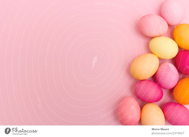 Pink background with colourful Easter eggs Eating Feasts & Celebrations Lie Esthetic Happiness Delicious Warmth Multicoloured Spring fever Leisure and hobbies